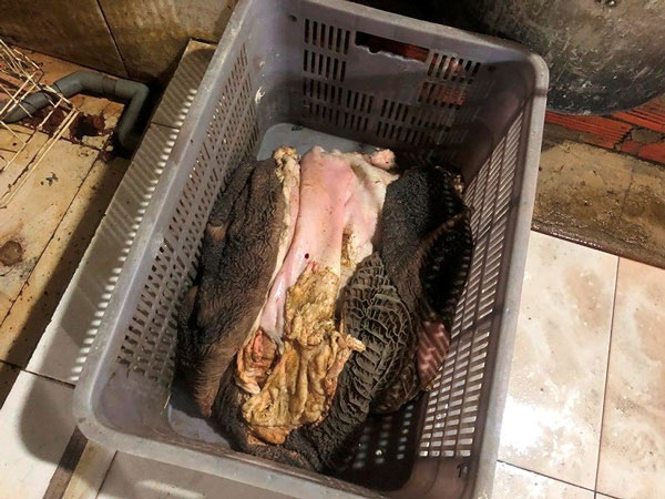 Ớn lạnh tẩy trắng phụ phẩm bò thối để bán cho quán nhậu - 6