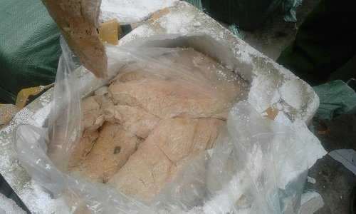 Kinh hoàng: Lại bắt giữ gần 2 tấn nầm lợn nhập lậu tại Lạng Sơn - 1