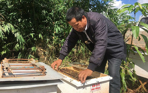 Vắt mật ong ngoại bán kiếm hàng trăm triệu đồng - 2