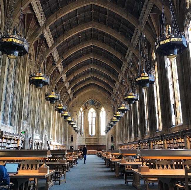 Lạc vào thế giới phù thủy cùng Harry Potter tại những thư viện huyền bí này - 2