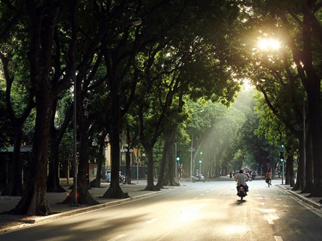 Tin tức trong ngày - Miền Bắc bắt đầu hửng nắng trở lại, trời vẫn rét đậm