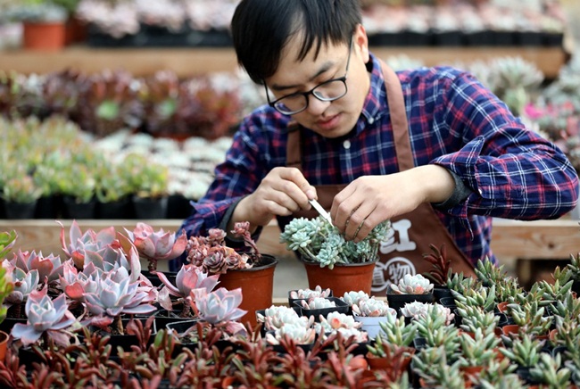 Starting a business with a small bonsai tree that generates almost 700 million/year - 1