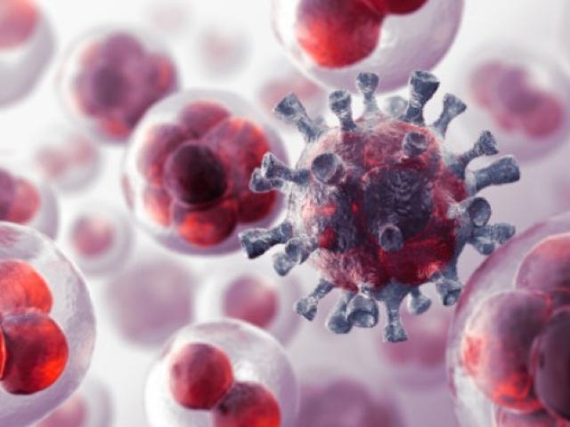 Sức khỏe đời sống - Những thực phẩm 'rẻ như bèo' ở Việt Nam là "thần dược" chữa ung thư