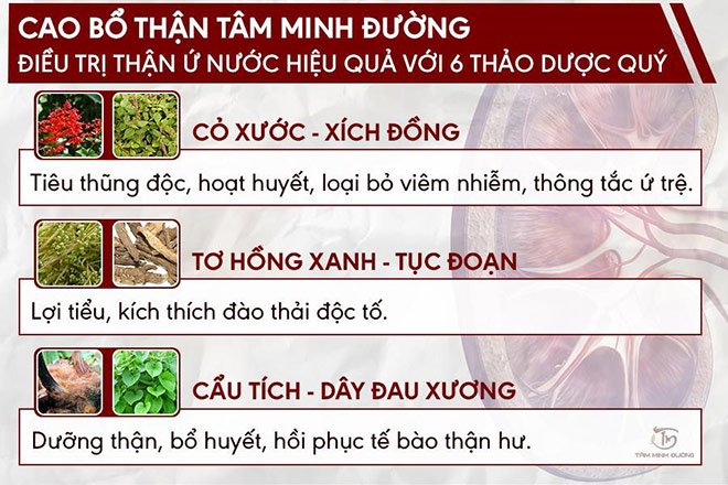 Nguyên nhân thận ứ nước và cách điều trị bệnh an toàn, hiệu quả - 4