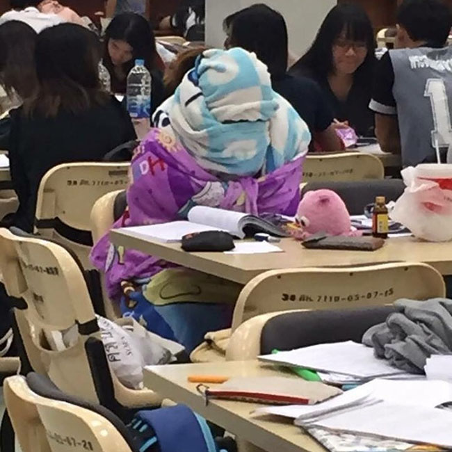 Du khách cười mệt vì những điều hài hước chỉ có ở xứ sở kangaroo - 2