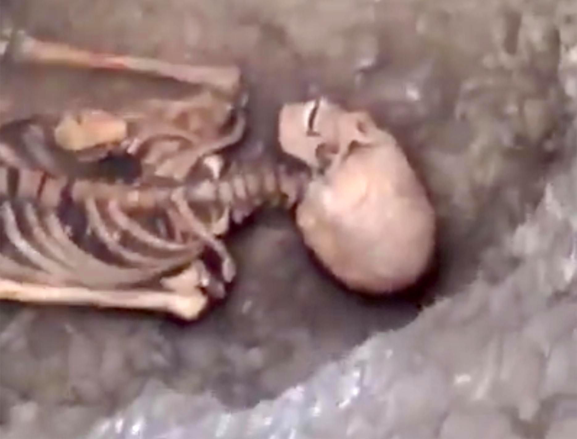Hộp sọ nghìn năm tuổi có hình dạng đáng sợ của người ngoài hành tinh? - 1