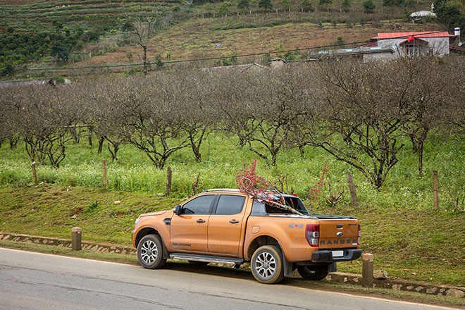 Tết này đi đâu? Mộc Châu thẳng tiến! - 4