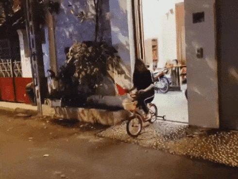 Choáng với dàn "siêu xe" của sao Việt từng xuống đường đi bão mừng Việt Nam - 12