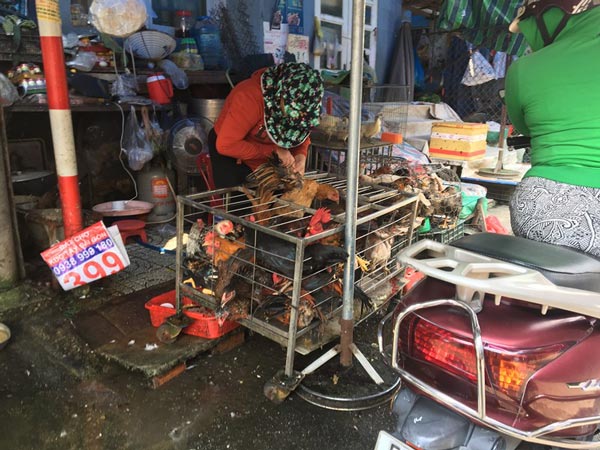 Chưa Tết, giá một loạt mặt hàng đã &#34;nhảy múa&#34; - 2