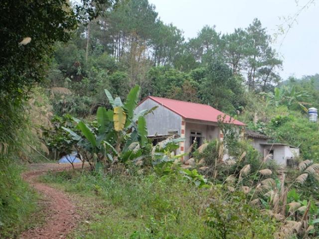 Pháp luật - Nỗi day dứt của người cha khi không bảo vệ được con gái