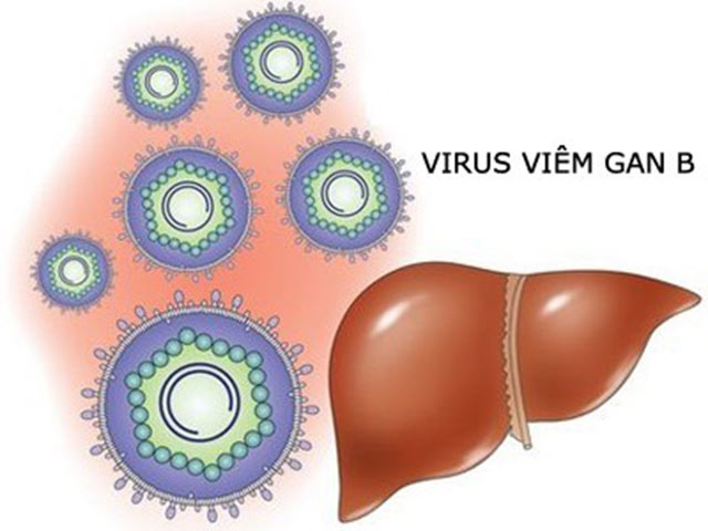 Giải độc gan Tuệ Linh – sản phẩm chuyên biệt cho người bệnh viêm gan virus và xơ gan - 1