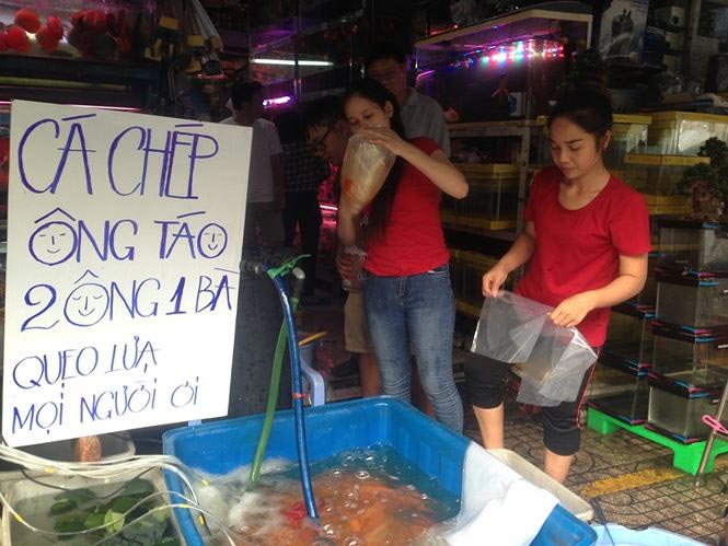 Nhà giàu Sài Gòn &#34;chịu chơi&#34; mua cá chép Koi tiễn ông Táo - 8