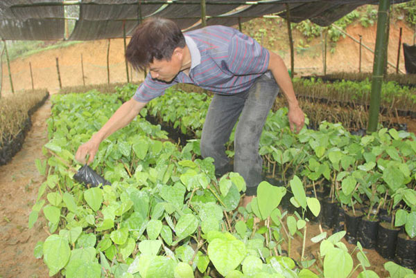 Bị gọi là &#34;hâm dở&#34;, thế mà thành tỷ phú nhờ kiểu làm ăn khác người - 1