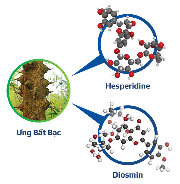 Đột phá mới: Dược liệu quý ngàn năm cứu tinh cho người xơ gan, ung thư gan - 2