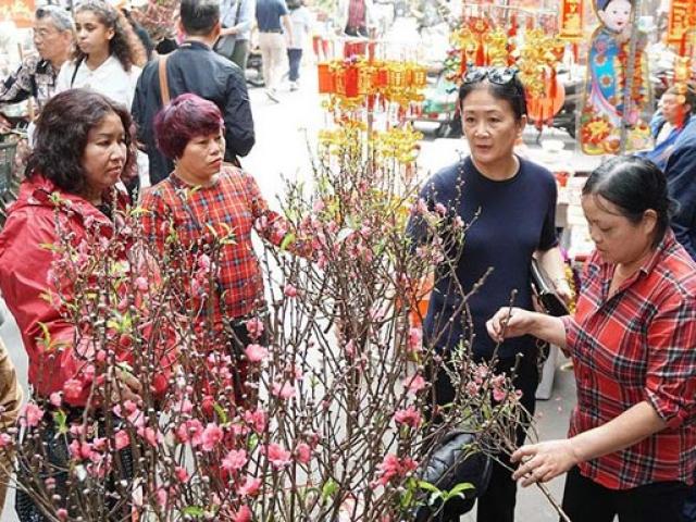 Thị trường - Tiêu dùng - Đào, quất "giá mềm" bán ngập chợ hoa tết Hàng Lược