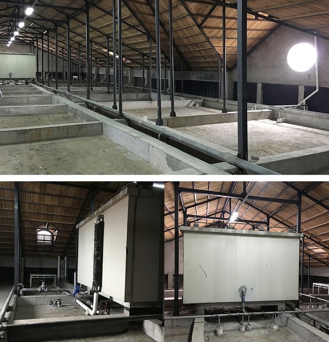 Vốn được thiết kế theo kiểu mái bằng, có rất nhiều vấn đề còn tồn đọng liên quan đến dầm, cột trụ, hệ thống ống dẫn nước, hệ thống chiếu sáng và bể nước.