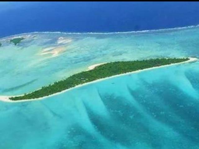 Thị trường - Tiêu dùng - Bạn có đủ thông thái để nhận ra mặt hàng nào không thể bán online?