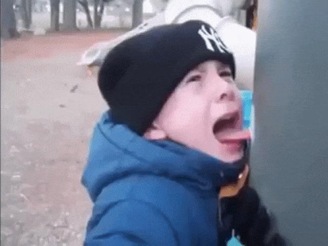 Tranh vui - Tình huống mắc kẹt hài hước khiến người xem phải khóc thét