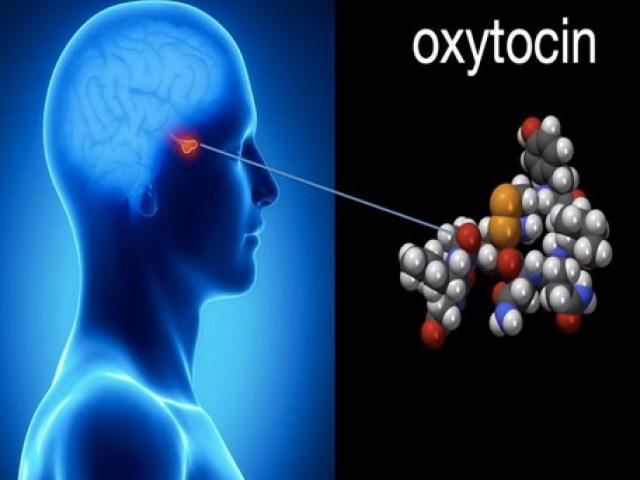 Sức khỏe đời sống - Khám phá sự kỳ diệu của “hormon tình yêu”