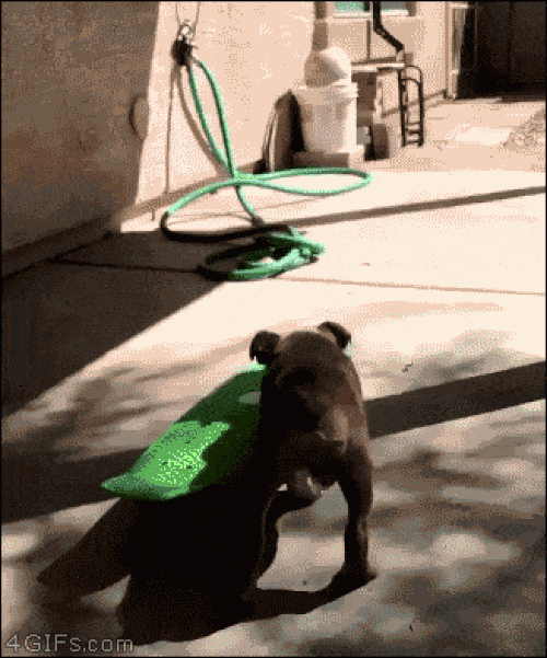 Khi boss khiến cho sen phải giật mình "ngã ngửa" - 5