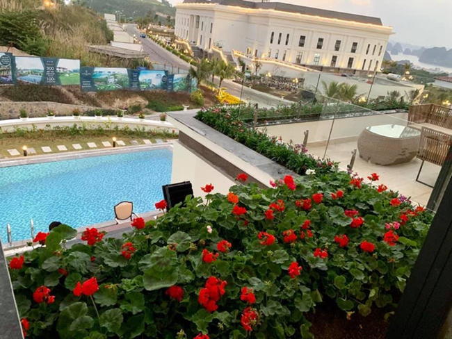 Biệt thự đẹp như khách sạn 5 sao của Trương Tùng Lan và chồng nằm trên một ngọn đồi, có view đẹp, thoáng đãng. Ngoài ban công, nữ diễn viên đặt nhiều chậu hoa nhỏ.