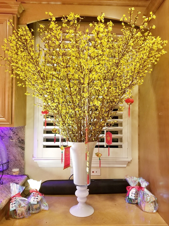 Nữ ca sĩ sexy đi chợ hoa Tết sớm ở Mỹ để tránh bị trường hợp này - 7