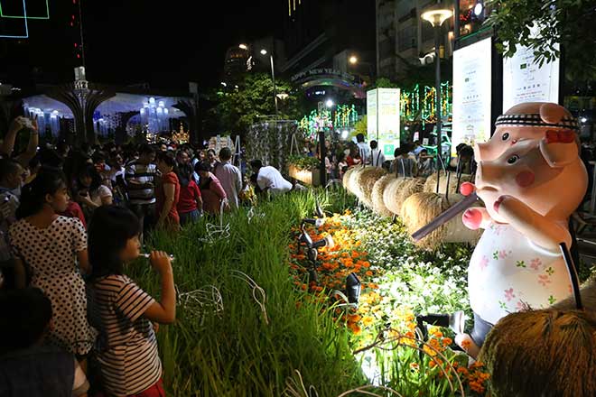 "Biển người" đổ về đường hoa xuân Nguyễn Huệ xem heo đội nón lá, khăn rằn - 10