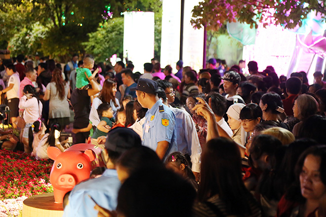 "Biển người" đổ về đường hoa xuân Nguyễn Huệ xem heo đội nón lá, khăn rằn - 9