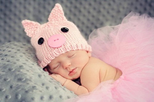 Năm Kỷ Hợi 2019, sinh Heo Vàng vào tháng nào đẹp nhất? - 1