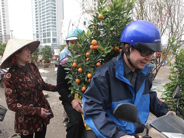 Người Hà Nội đua nhau mua cây cảnh giảm giá “sốc” ngày 30 Tết