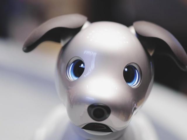 Media - Robot cún con mới nhất của Sony: Biết thể hiện cảm xúc giống con người