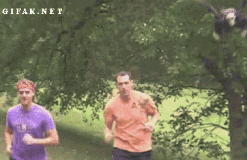 "Rớt tim" với những trò đùa "mất dạy" nhất quả đất - 5