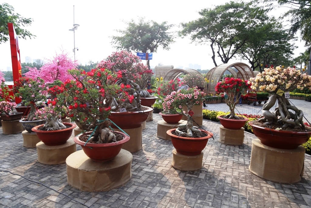 Hình ảnh làng quê tại hội hoa xuân khiến nhiều người “mê mệt” ở Sài Gòn - 4