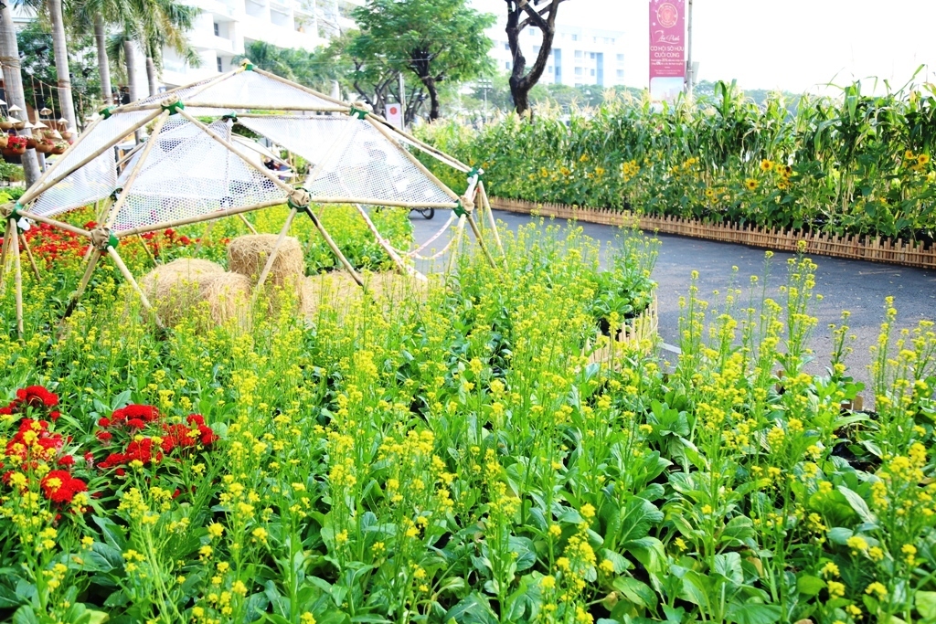 Hình ảnh làng quê tại hội hoa xuân khiến nhiều người “mê mệt” ở Sài Gòn - 8