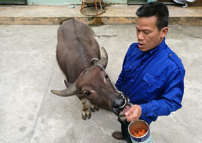 Người đưa “đầu cơ nghiệp” lên sân khấu xiếc Việt Nam - 2