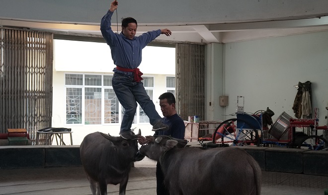 Người đưa “đầu cơ nghiệp” lên sân khấu xiếc Việt Nam - 4