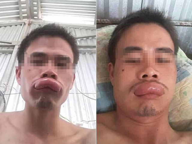 Bạn trẻ - Cuộc sống - Thanh niên số nhọ tối cuối năm: Đang ngắm chậu hoa mai thì gặp hoạ