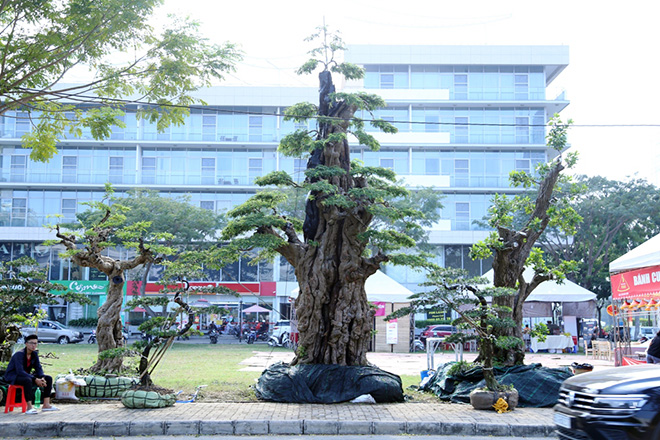 Ngắm cặp me “phụ tử đoàn viên” giá bạc tỷ tại “khu nhà giàu” Sài Gòn - 1