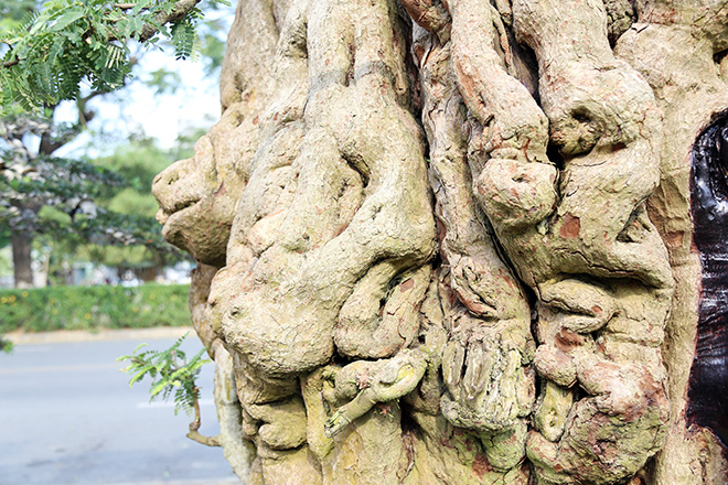 Ngắm cặp me “phụ tử đoàn viên” giá bạc tỷ tại “khu nhà giàu” Sài Gòn - 5