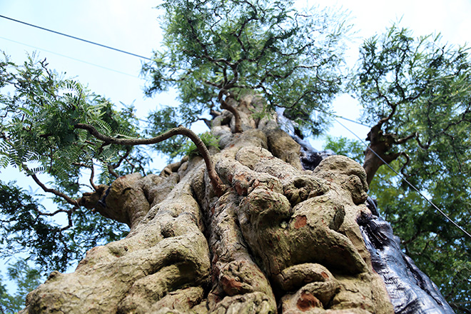 Ngắm cặp me “phụ tử đoàn viên” giá bạc tỷ tại “khu nhà giàu” Sài Gòn - 4
