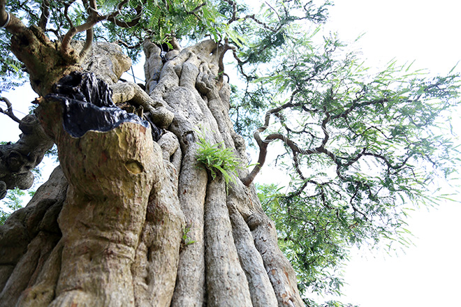 Ngắm cặp me “phụ tử đoàn viên” giá bạc tỷ tại “khu nhà giàu” Sài Gòn - 3