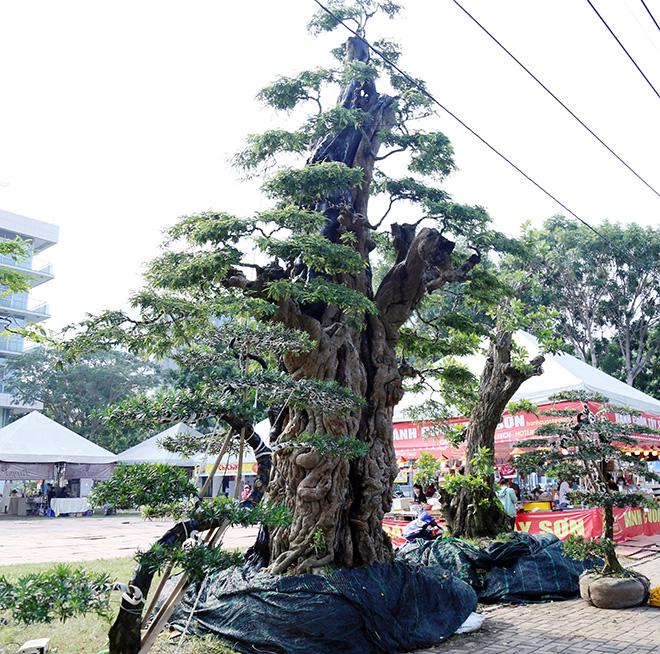 Ngắm cặp me “phụ tử đoàn viên” giá bạc tỷ tại “khu nhà giàu” Sài Gòn - 2