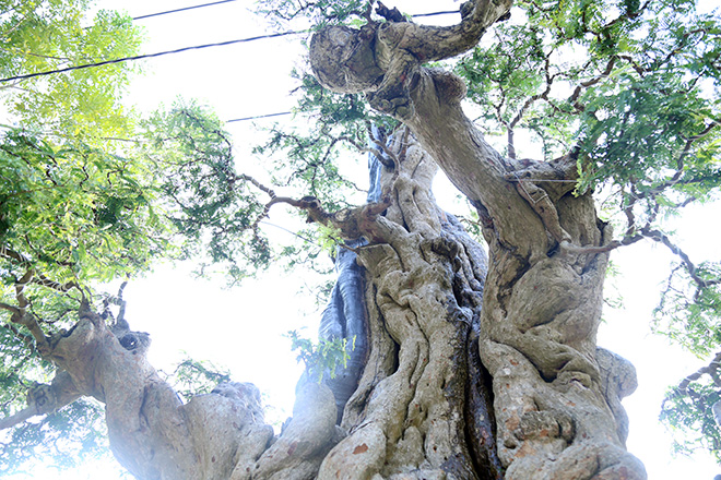 Ngắm cặp me “phụ tử đoàn viên” giá bạc tỷ tại “khu nhà giàu” Sài Gòn - 7