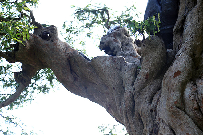 Ngắm cặp me “phụ tử đoàn viên” giá bạc tỷ tại “khu nhà giàu” Sài Gòn - 8
