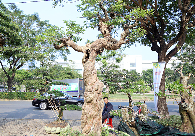 Ngắm cặp me “phụ tử đoàn viên” giá bạc tỷ tại “khu nhà giàu” Sài Gòn - 10