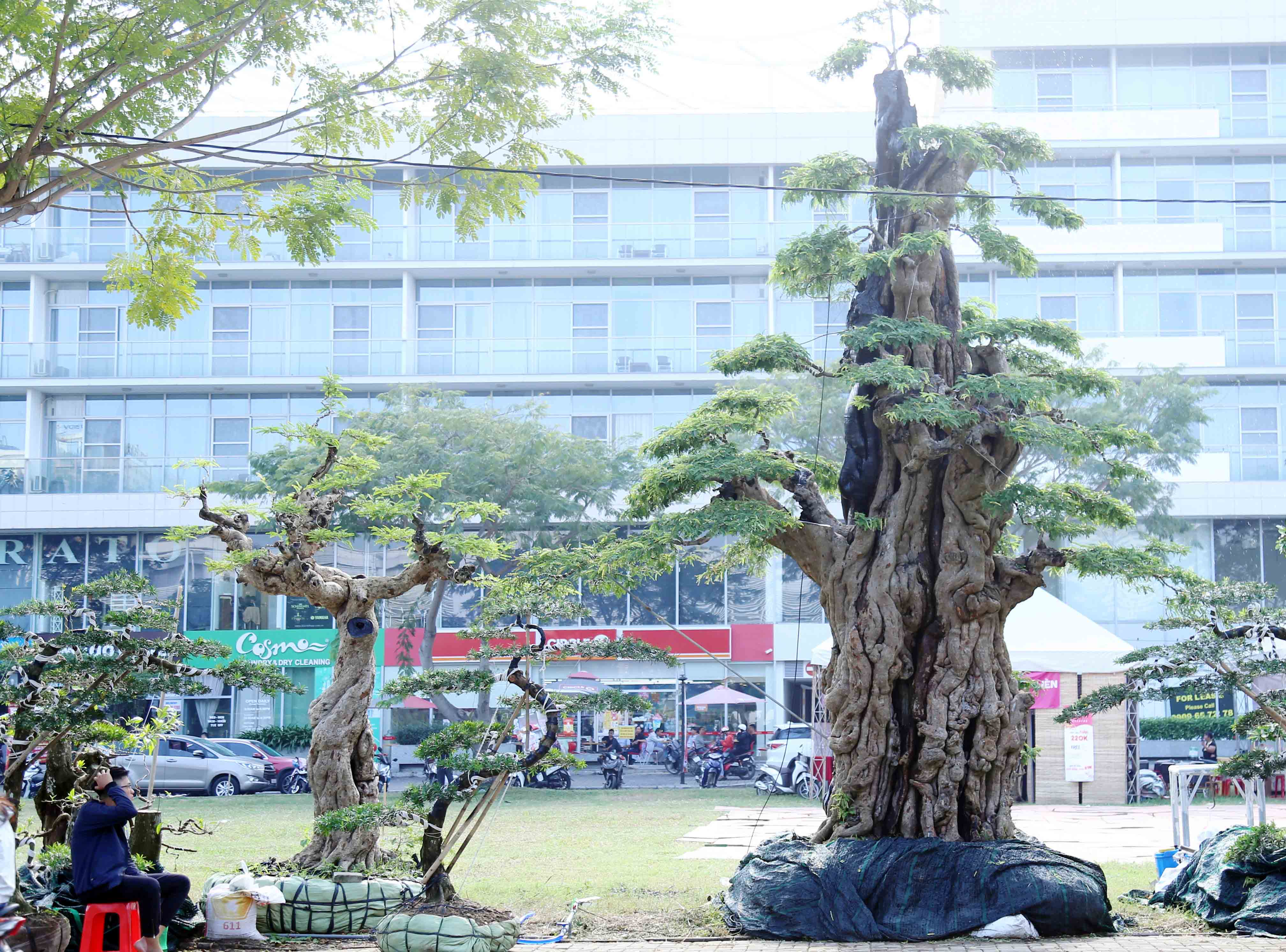 Ngắm cặp me “phụ tử đoàn viên” giá bạc tỷ tại “khu nhà giàu” Sài Gòn - 12