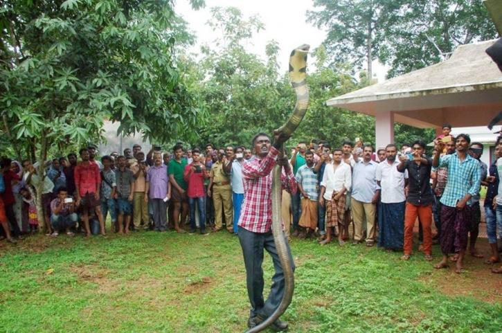 Người đàn ông bị rắn cắn gần 4.000 lần, chuyên tay không bắt rắn khổng lồ - 2