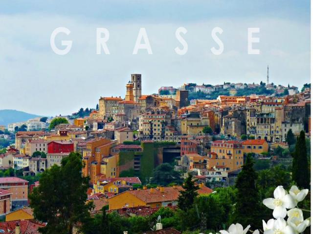 Media - Đến thăm quê hương của hơn 60 loại nước hoa nổi tiếng thế giới