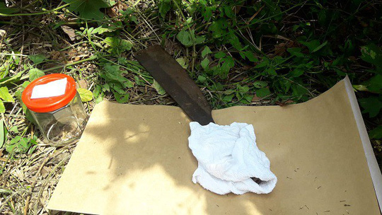 Xác định 2 nghi phạm dùng súng, mã tấu cướp ở trạm thu phí Dầu Giây - 1