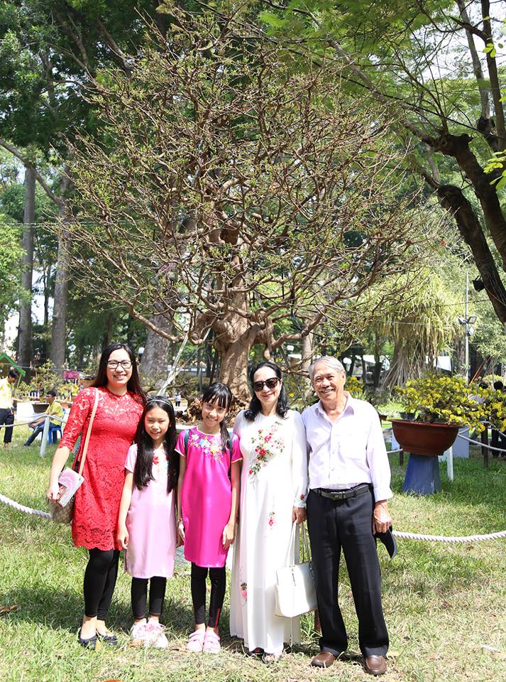 “Cụ mai” 140 năm tuổi được rao bán 2 tỉ đồng tại TP.HCM - 7